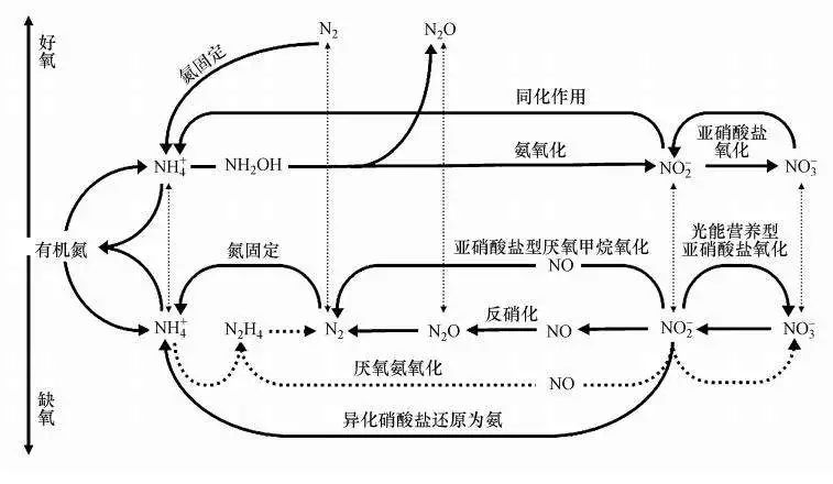 磷在污水处理中的作用_磷污水处理概念股_污水传统磷源