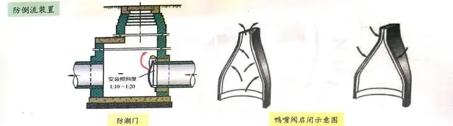 污水池底板_污水池降板_污水池底板与池壁浇筑