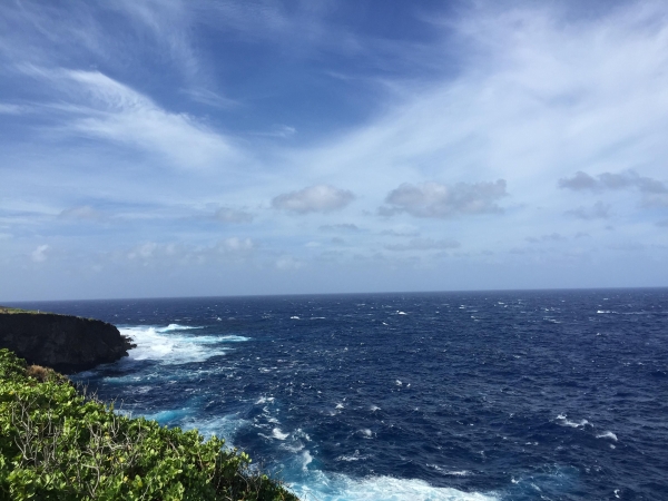 日本核污染水今日下午开始排海！福岛核事故影响：患癌人数逐年上升   