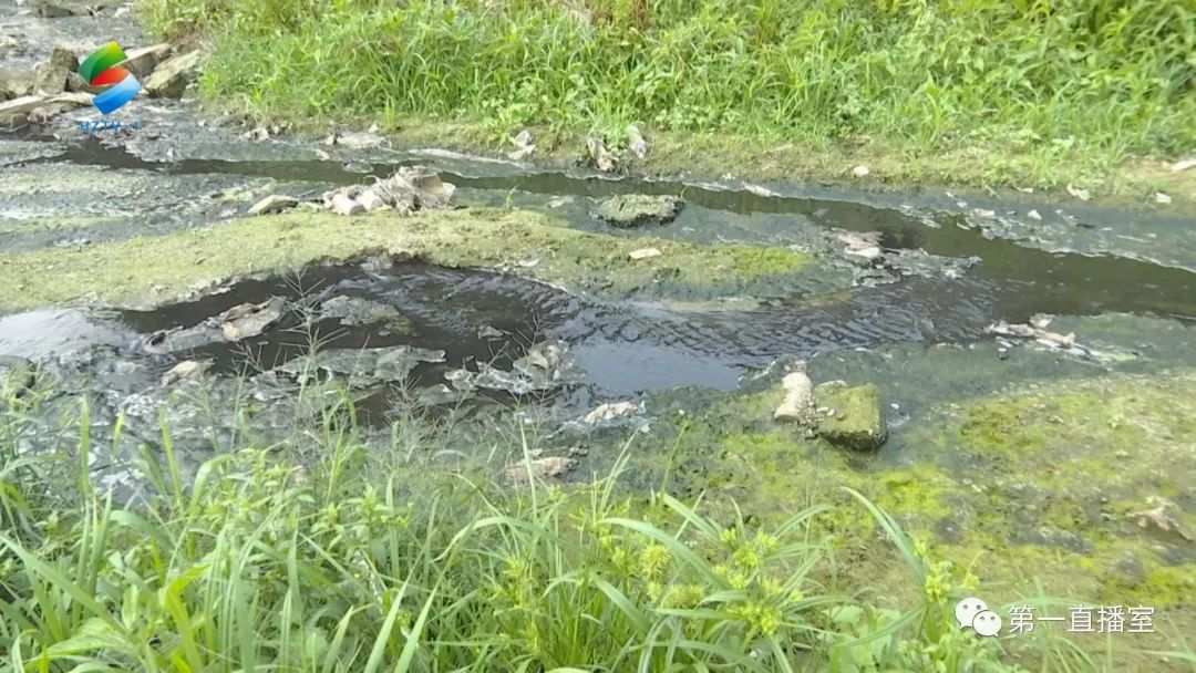 深圳污水倒灌_深圳吸污水_深圳污水排放