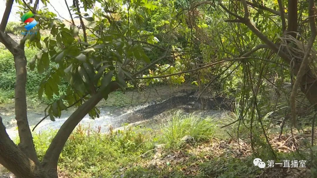 深圳吸污水_深圳污水排放_深圳污水倒灌