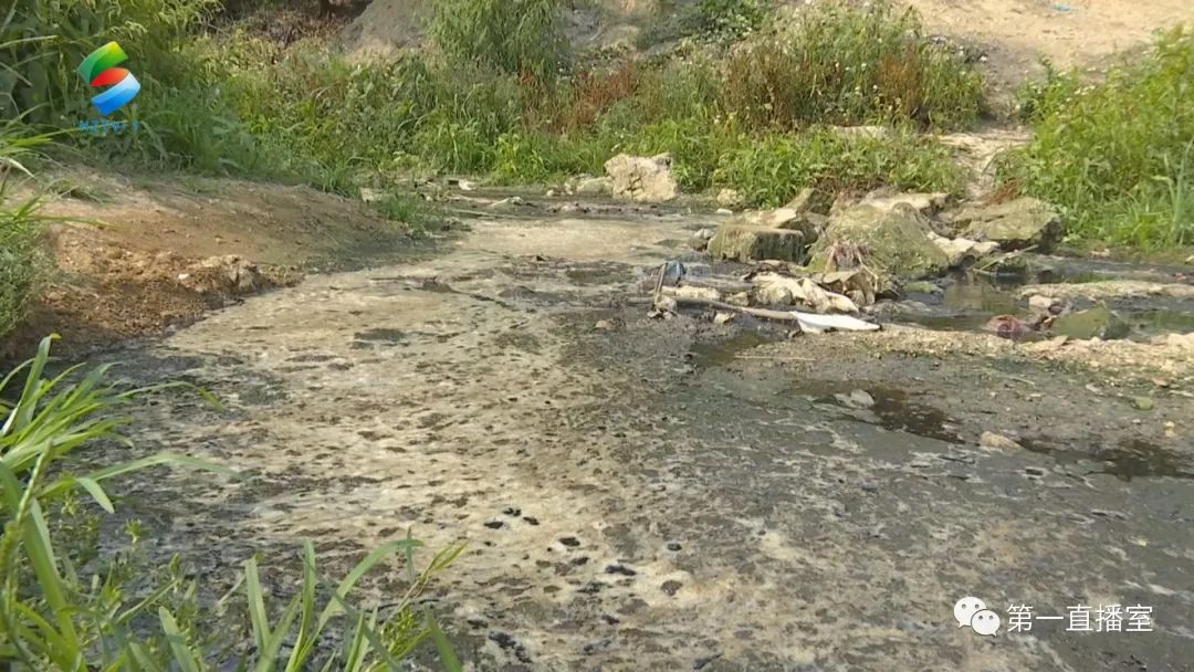 深圳污水倒灌_深圳污水排放_深圳吸污水