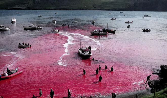 核污水排到海里会怎么样_把核污水排进海里_核污水排大海