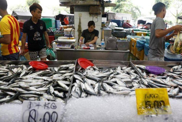 核污水排大海_核污水排入海洋会怎样_把核污水排进海里