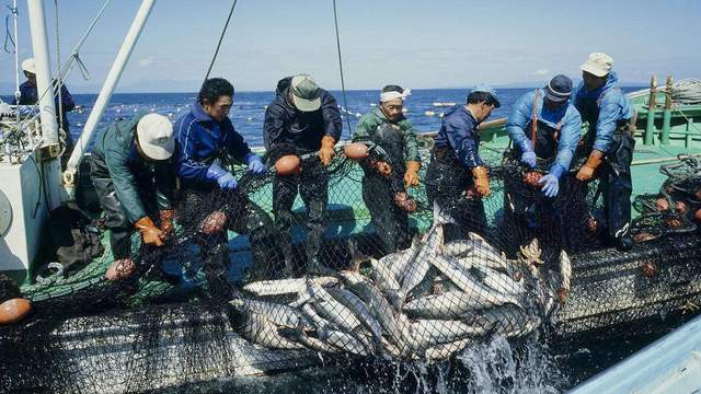 日本往海里倒核废料美国怎么处理_美国核废料倒进海里_核废料到入海里安全吗