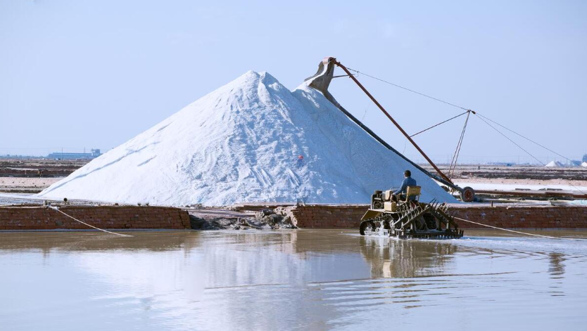 福岛核污水排入大海后的影响_核污水是什么样子的_皮皮虾核污水