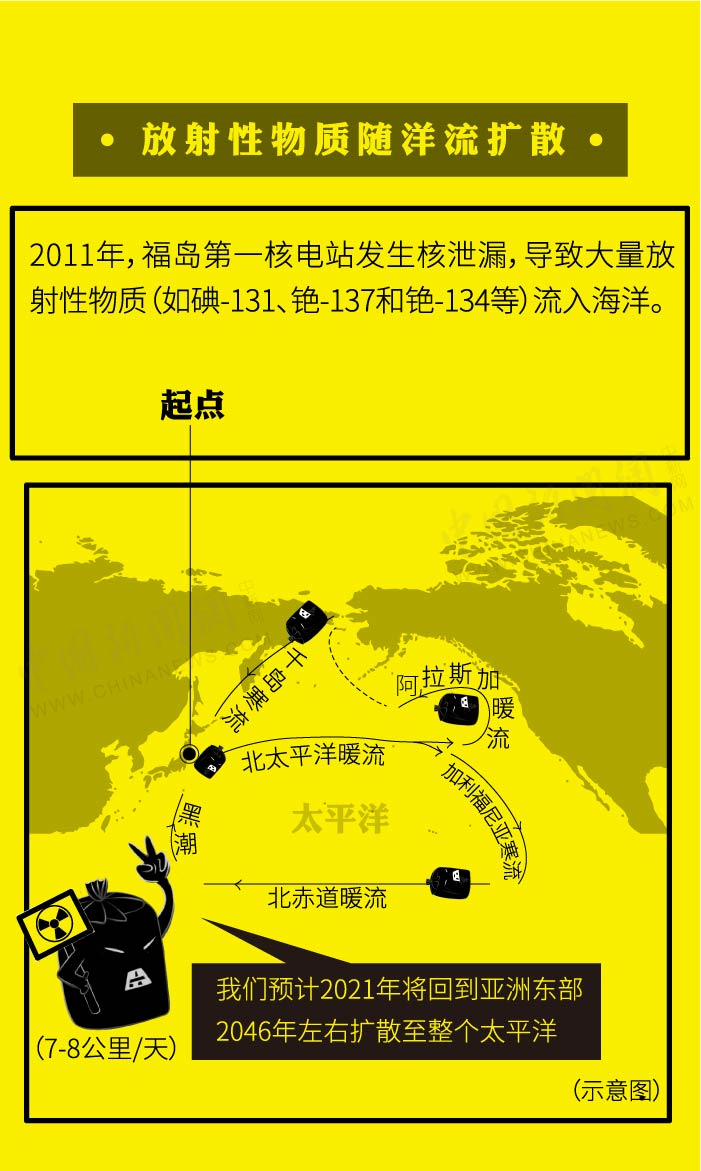 资料图：放射性物质随洋流扩散示意图。制图：中新网 李雪瑶