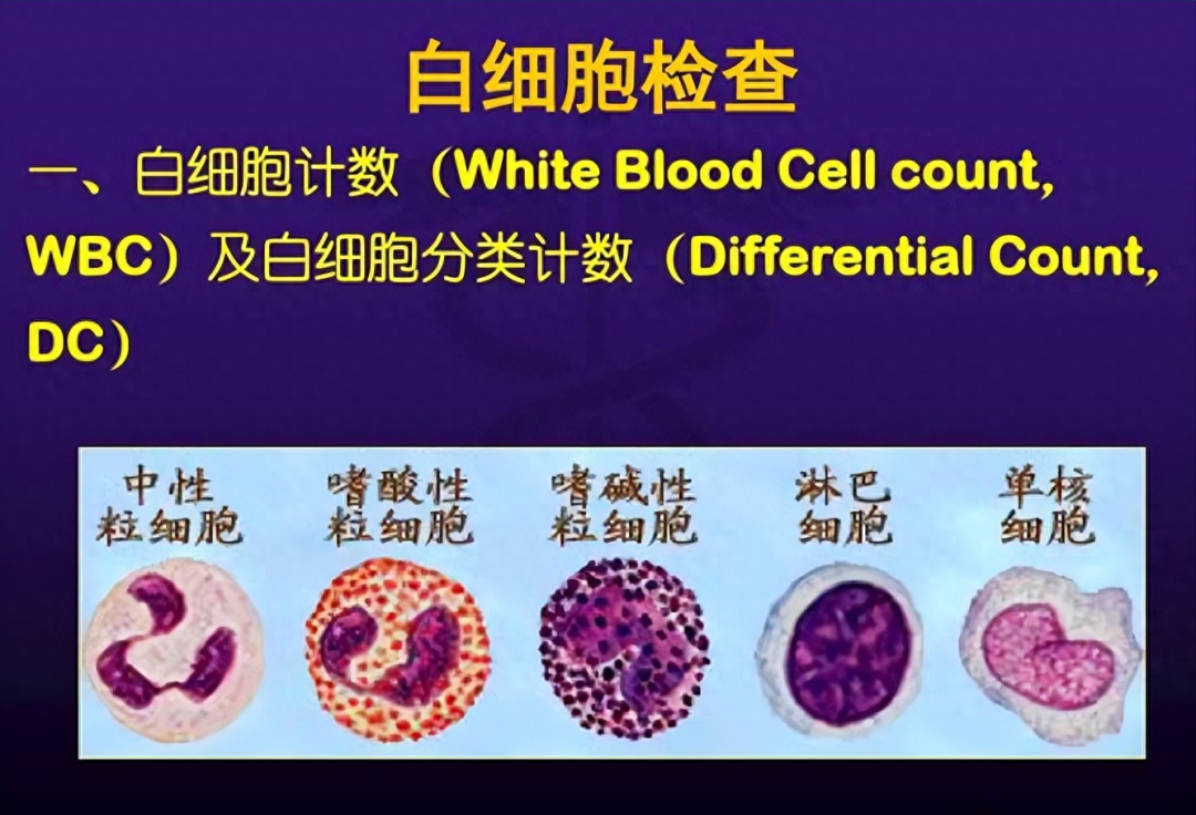 放核污水人员身体溃烂_核污水无法处理吗_核污水对人的伤害