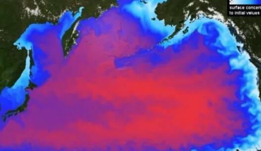 联合国称日本排污影响将持续超100年 核废水都有哪些危害