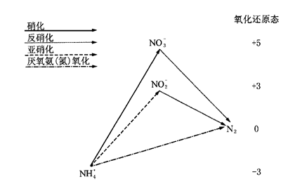 污水中的磷_磷污水处理概念股_污水磷形态