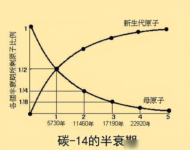 日本排放核污水被倒灌会怎么样_日本排放核污水水还能喝吗_日本倒核废水影响