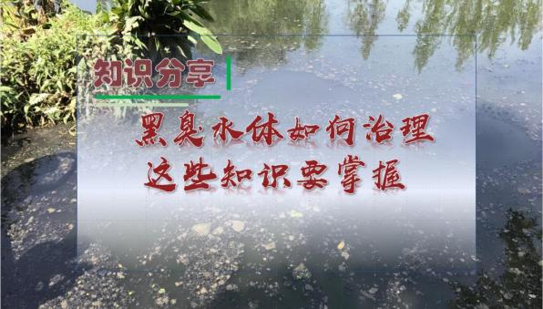 污水净化方法_污水净化的方法_污水净化处理方法