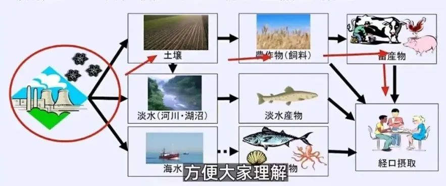 核污水最新扩散范围_核污水扩散速度_核污水排放扩散图