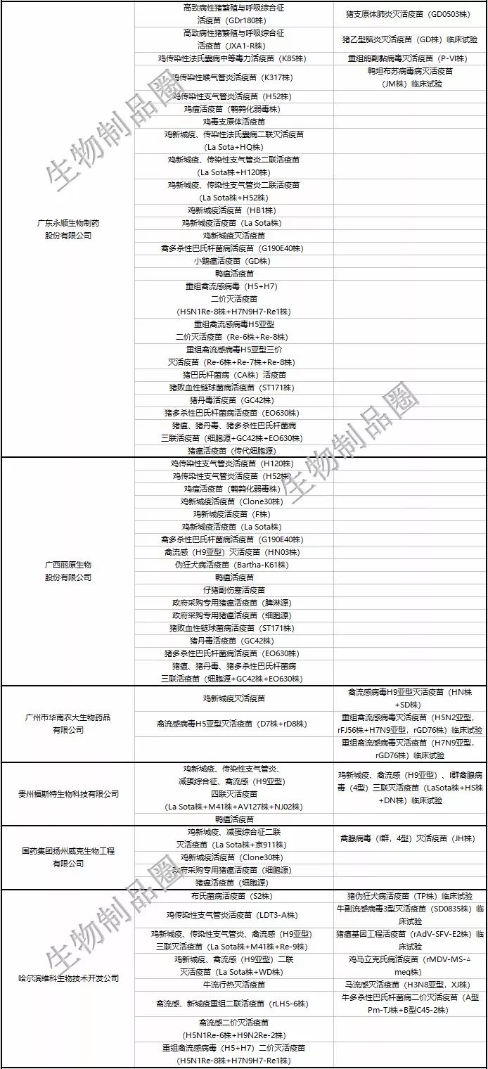 中国生物公司发的动态疫苗_疫苗研发动态_疫苗的实时动态