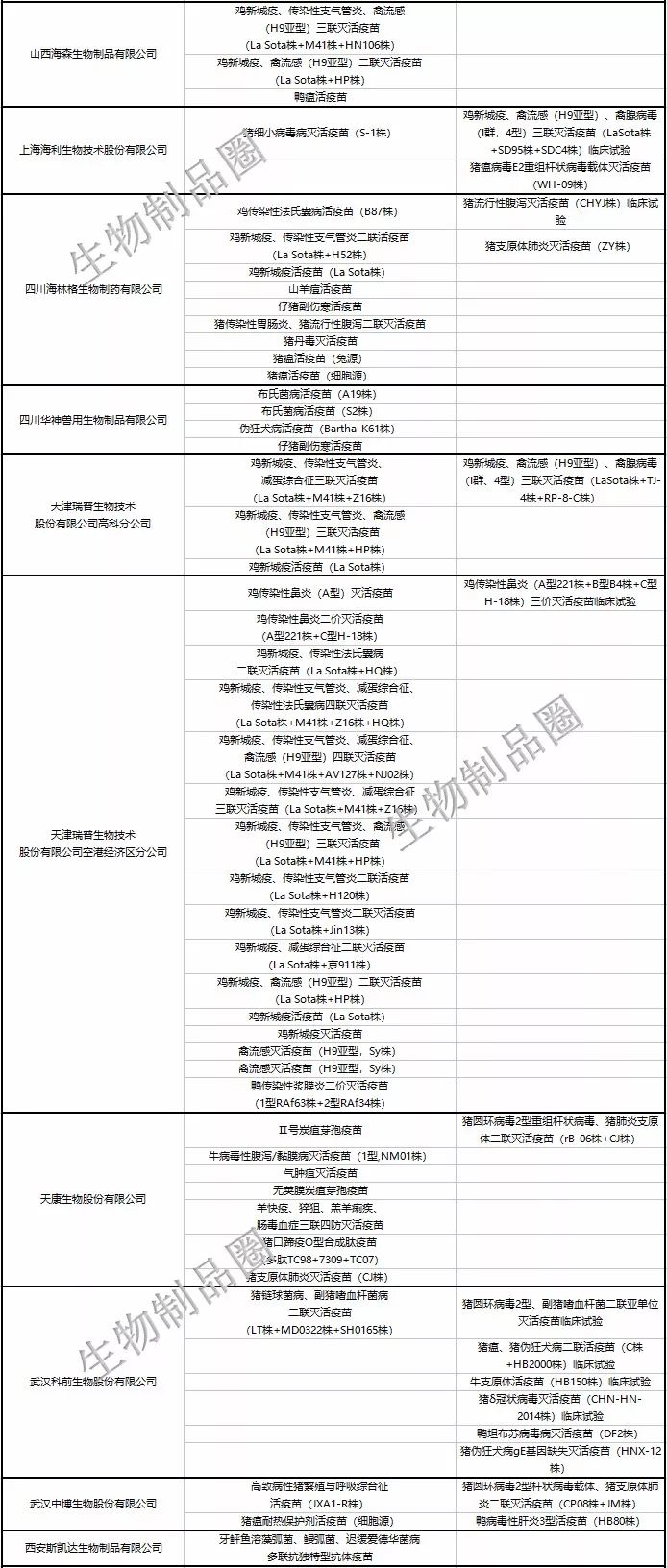 中国生物公司发的动态疫苗_疫苗研发动态_疫苗的实时动态