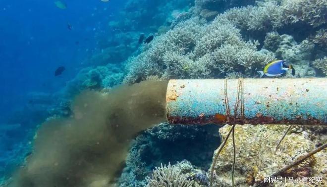 福岛核废水排入大海的危害_核废料排进大海_福岛核废料排下大海