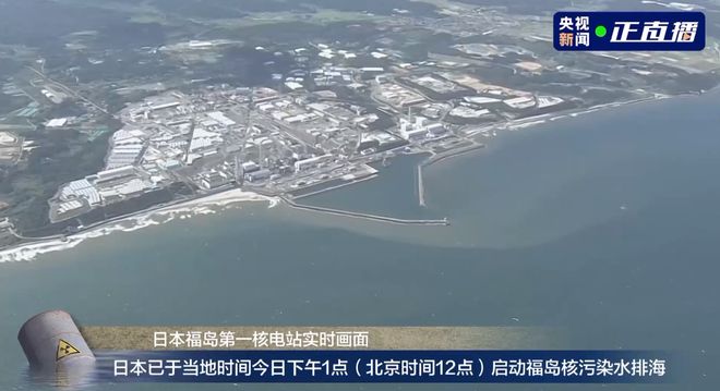 日本核污水入海的危害_海葵和日本核污水_日本核污水入海对海洋影响