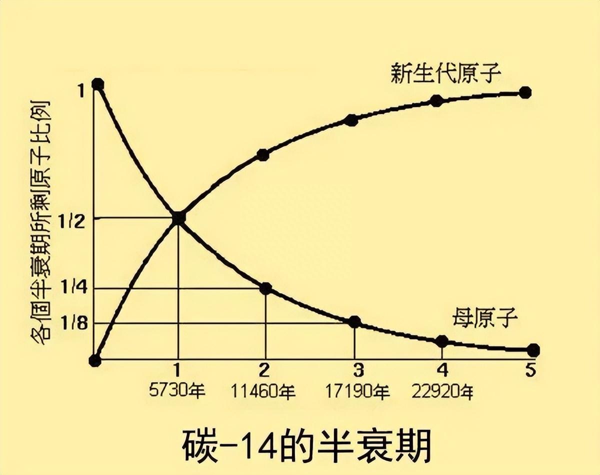 日本排放核污水变异的鱼照片_日本排放核污水变异的鱼照片_日本排放核污水变异的鱼照片