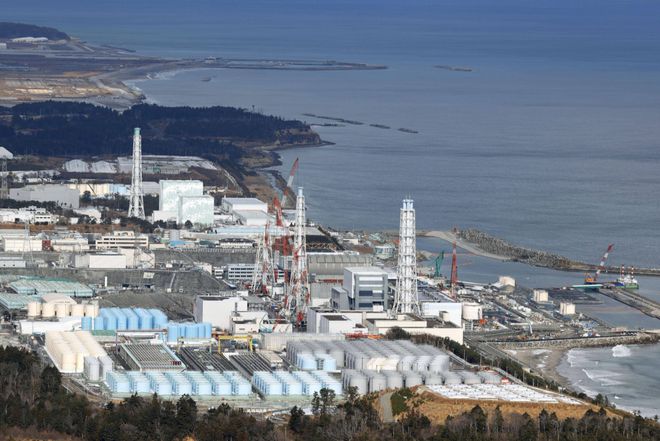 核污水变异生物_日本核污水变异的鱼_日本核污水变异怪物