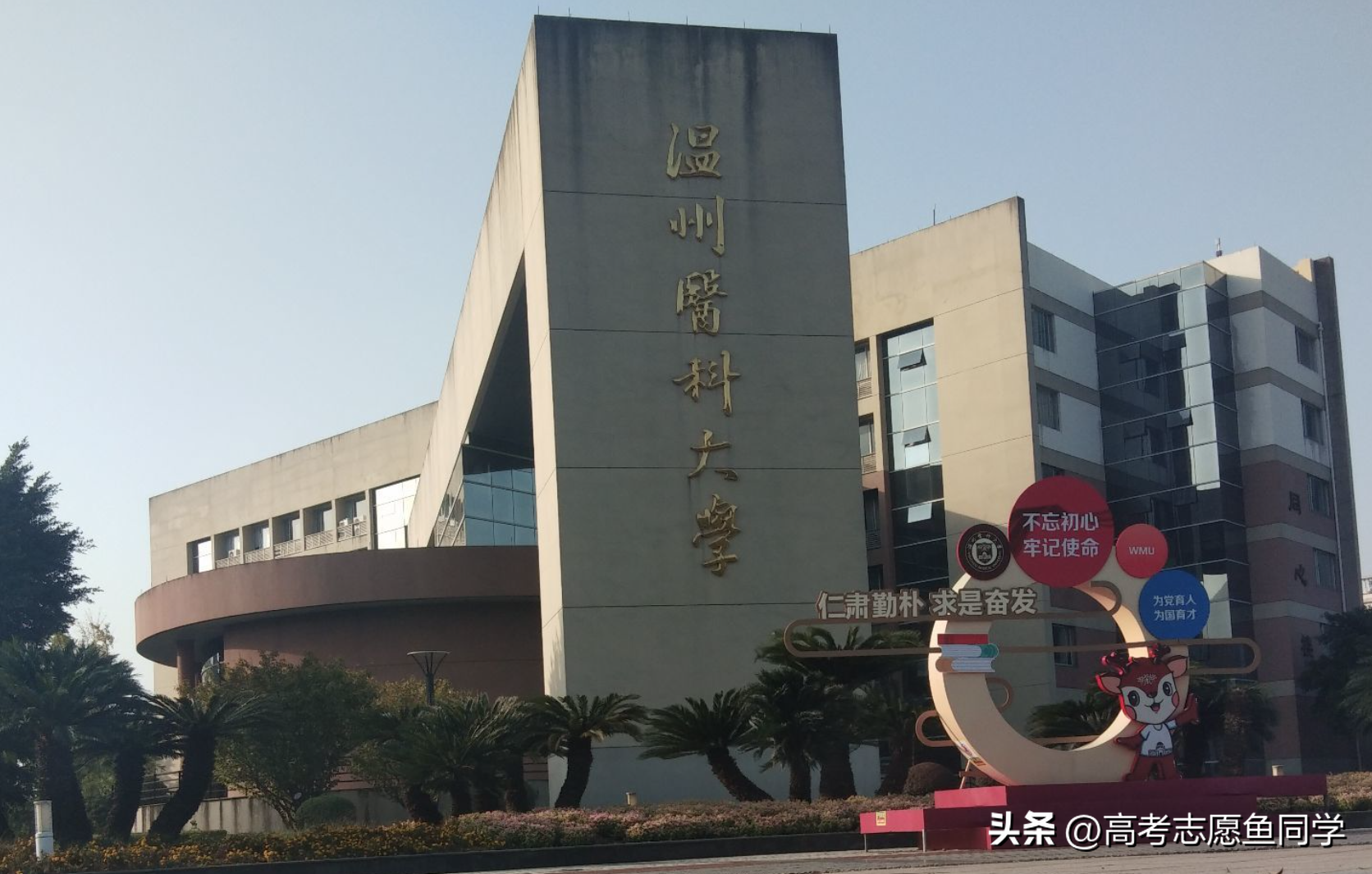 西南医科大学环境怎么样_西南医科大学环境分析_西南大学医学系