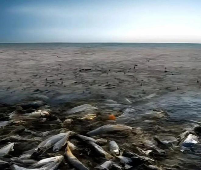 核污水正式排海了吗_核污水排海里_日核污水排入海现场