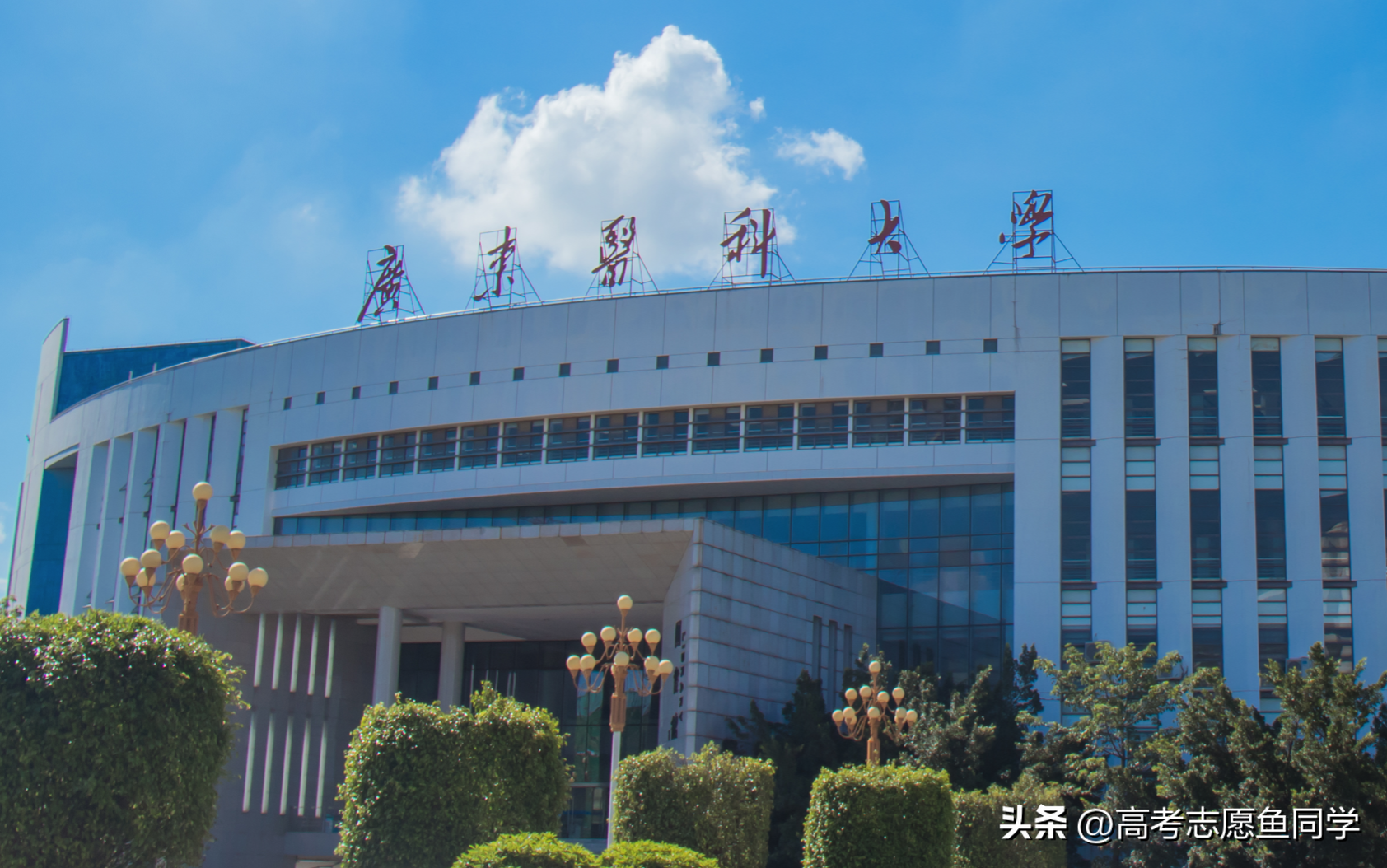 西南大学医学院_西南医科大学环境怎么样_西南大学环境介绍