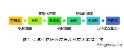 新型氨氧化污水处理技术及应用.pdf_新型氨氧化污水处理技术及应用_化学氧化法处理废水中的氨氮