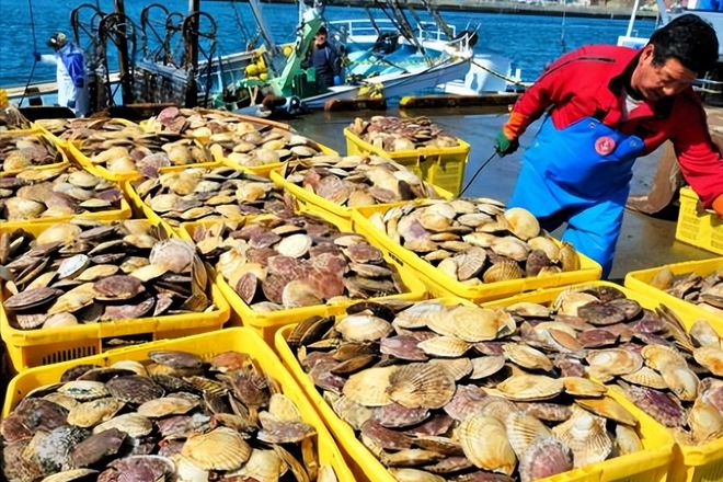 日本排放核污水地铁逃生玩家_日本核污水两年后排放_日本核废水下水道