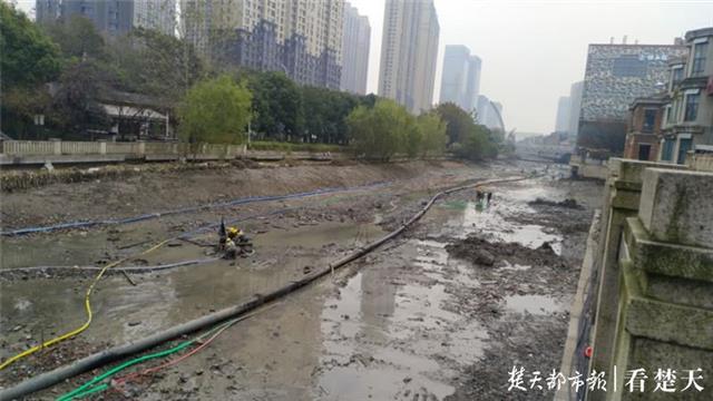 污水处理产品市场_市场污水处理_污水果市场