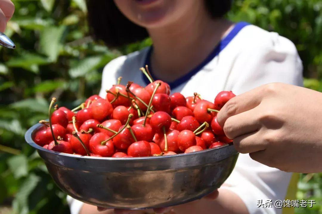 污水果市场_果园污水处理厂_水果加工污水处理工艺