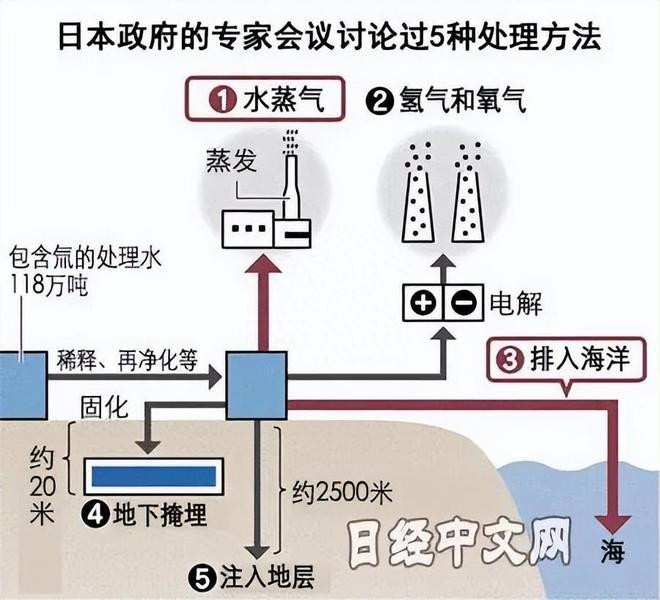 日本排放核污水的死鱼图片_日本排放核污水的死鱼图片_日本排放核污水的死鱼图片