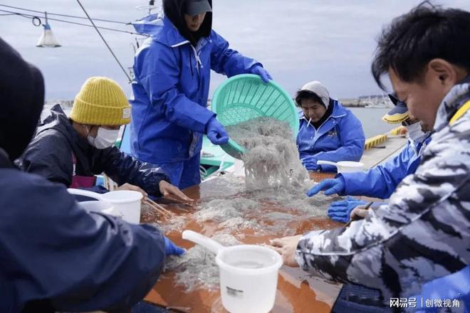 中国核污水排放检测_核污水排放日程表_国内核污水