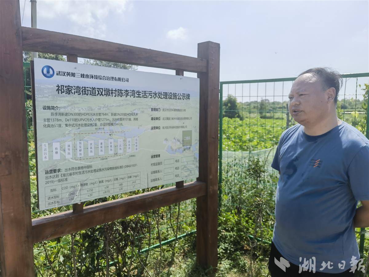 污水净化池农村可以用吗_污水净化池怎样建好_农村污水净化池