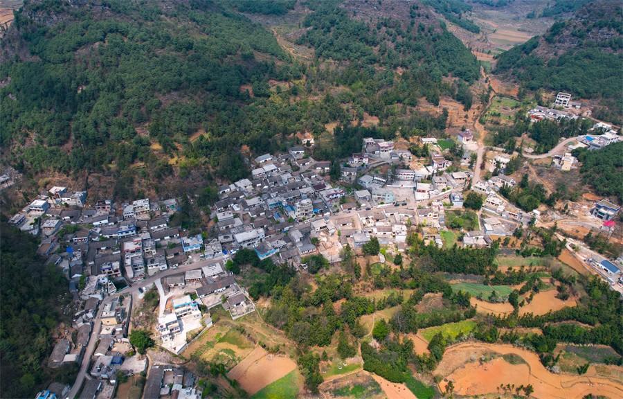 农村污水净化池有味道吗_农村污水净化池_污水净化池怎样建好