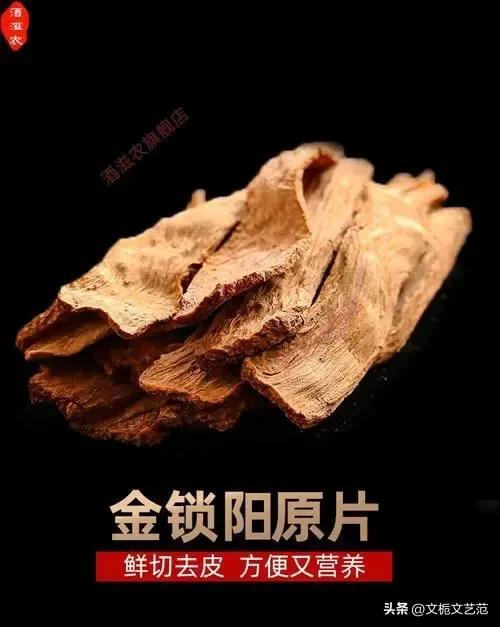 锁阳的生长环境_锁阳生长环境有何特点_锁阳的生活环境