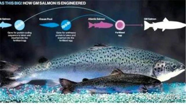 日本核污水量_苏联日本排放核污水最新消息_苏联日本核废水