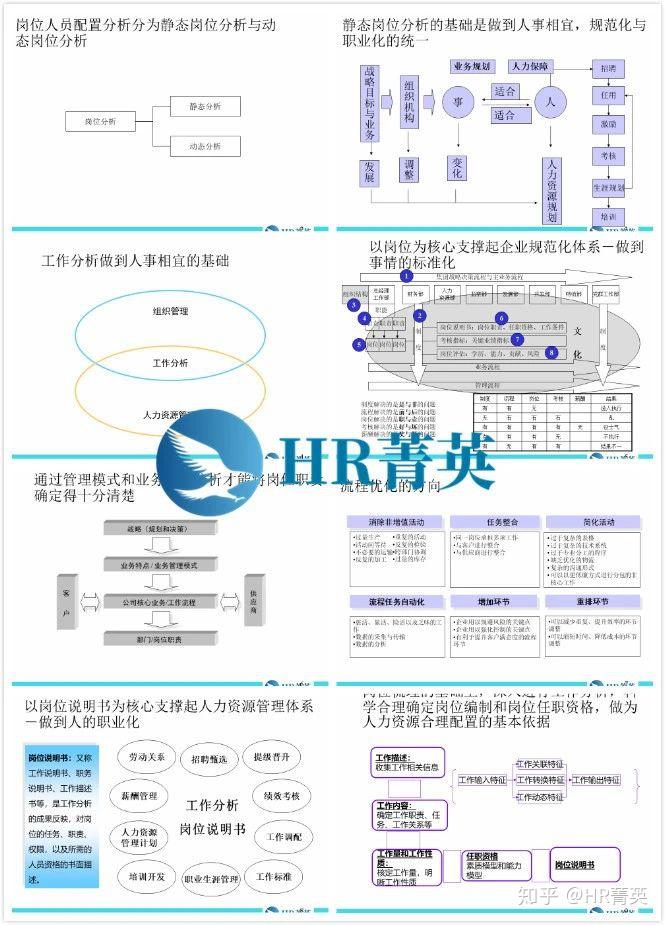 人力资源动态管理基本原则_人力资源动态表_公司人力资源动态管理方案