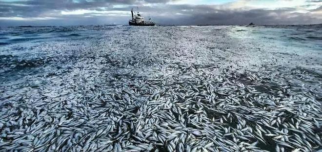 中国的核废料填埋场_核废料地下处置_中国地下核废料存储基地