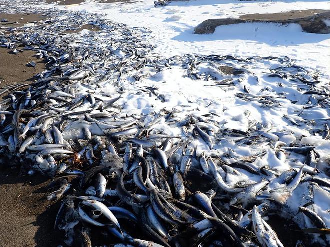 中国地下核废料存储基地_核废料地下处置_中国的核废料填埋场