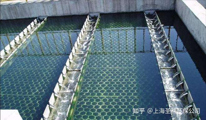 污水池浸水_水池污水怎么处理_污水浸泡