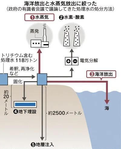 海豚吸食河豚毒素_日本决定将福岛核污水排入大海_核污水致海豚死亡