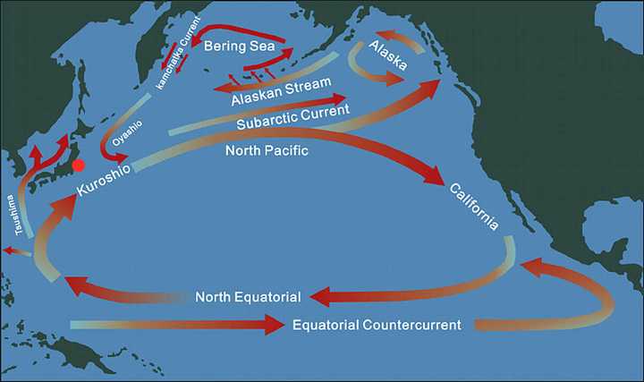 日本排放核污水对雪有影响吗_地理日本排放核污水的危害_排放核污水对日本的影响