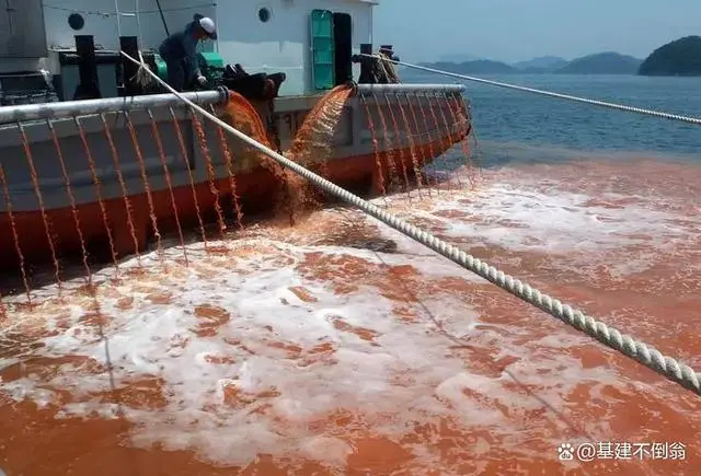 日本排放核污水后的鱼死亡_日本排放核污水鱼变异_日本核污水鱼还能吃吗