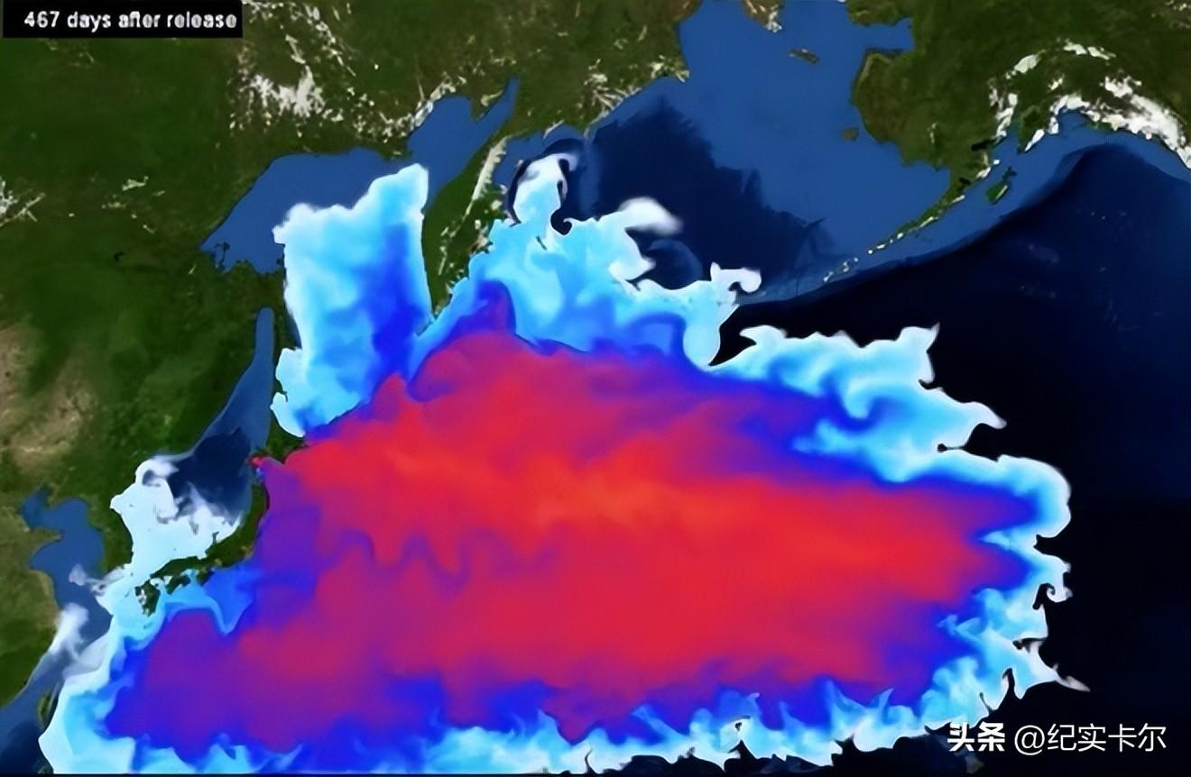 日本核污水入海政府买海鲜_海关回应日本核污水_日本核污水入海各国的反应