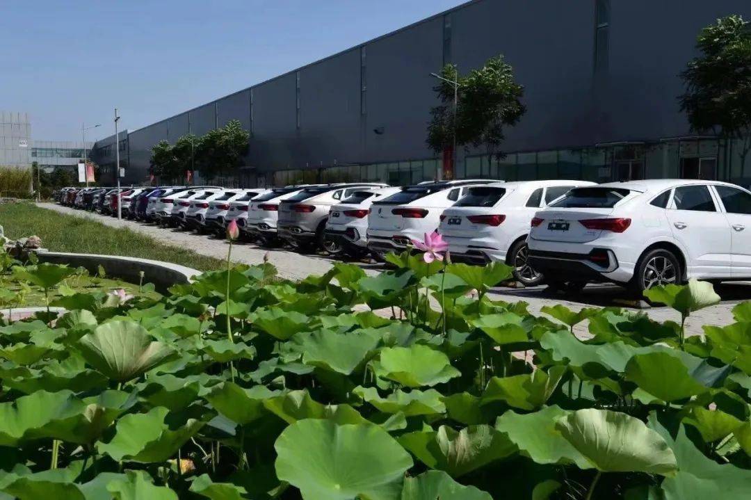 节能补贴环保国家有补贴吗_国家节能环保补贴_节能补贴环保国家政策文件