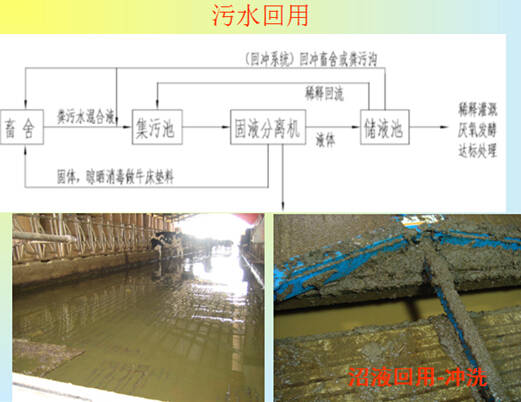 污水粪便鸡场怎么处理_污水粪便鸡场处理方案_鸡场粪便污水