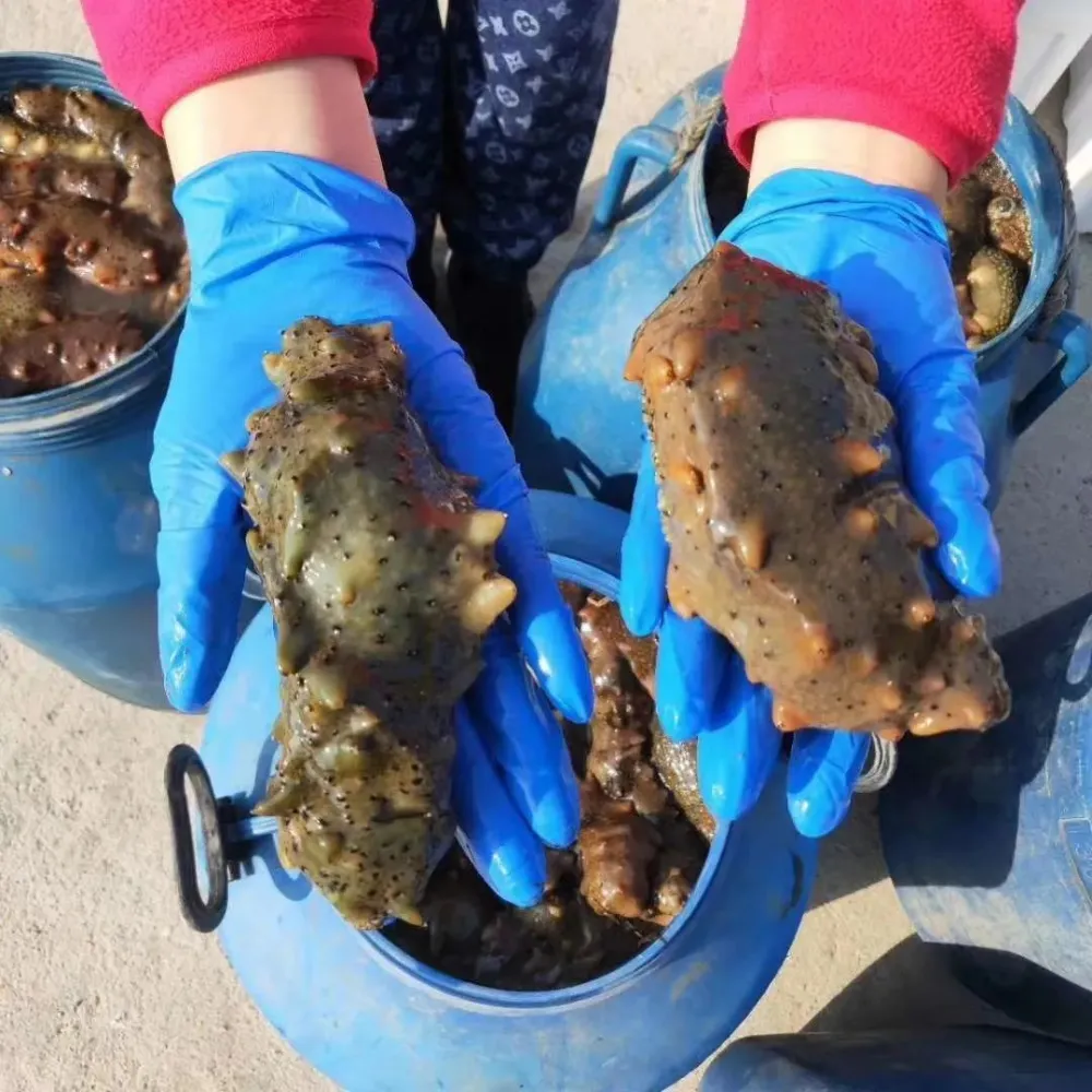 处理核污水_核污水处理流程_核污水料理店