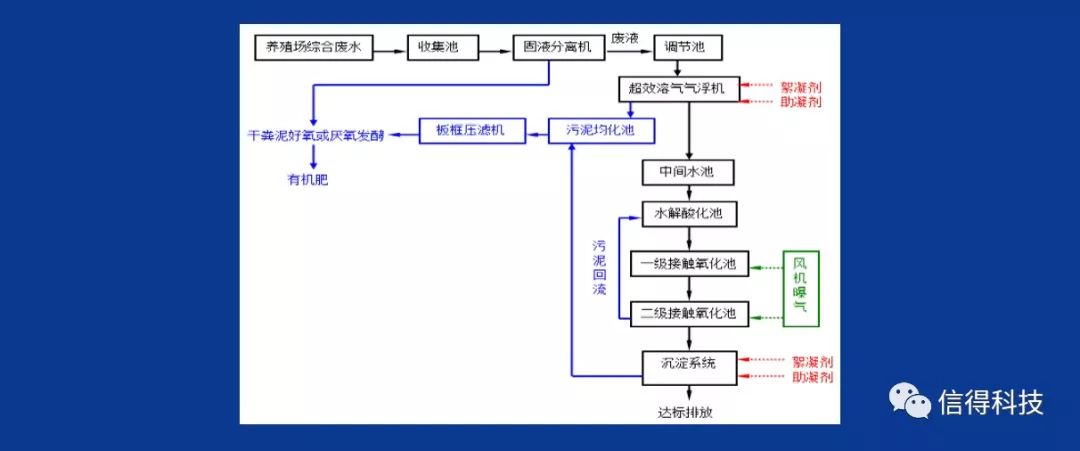 养殖污水处理厂的工艺流程_养殖污水利用_西和养殖污水处理技术