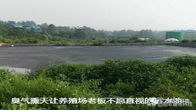 西和养殖污水处理技术_养殖污水利用_养殖污水处理一体设备