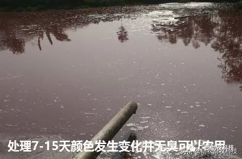 养殖污水利用_养殖污水处理一体设备_西和养殖污水处理技术